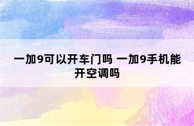 一加9可以开车门吗 一加9手机能开空调吗